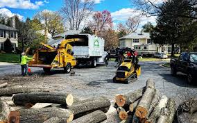 Best Tree Mulching  in Westville, OK